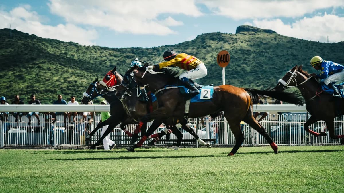 Alla artiklar på Galopp iFokus